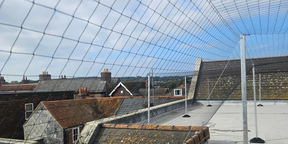 Gull Netting for Student Halls